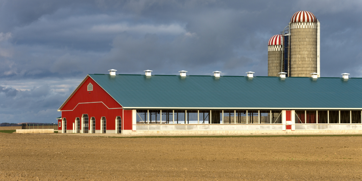 metal-dairy-farm-buildings